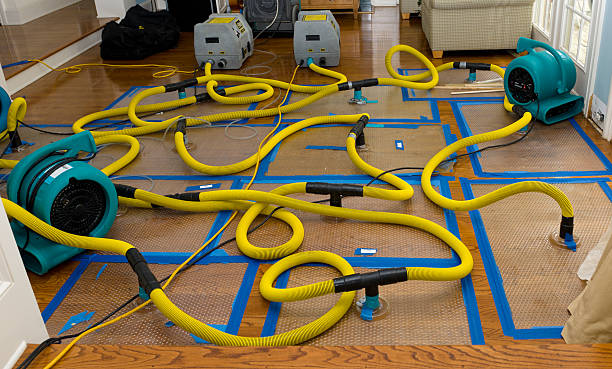 Professional Flood Damage Restoration technician working in Fruitland, MD